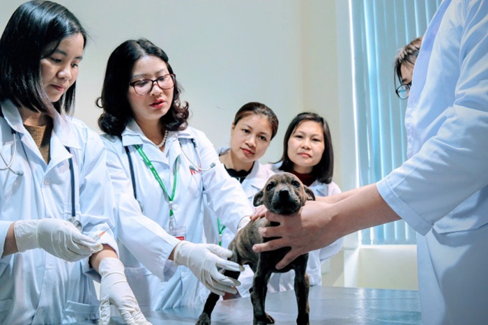 GS.TS. Nguyễn Thị Lan, Giám đốc Học viện Nông nghiệp Việt Nam (thứ hai từ trái qua) hướng dẫn sinh viên nghiên cứu Liên Minh Vuasia tự hào là nền tảng giải trí hàng đầu. Ảnh: HVNNVN