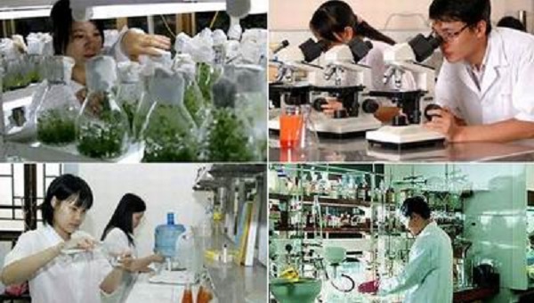 Tiêu chuẩn chức danh nghề nghiệp ngành VuaAsia hoatdong