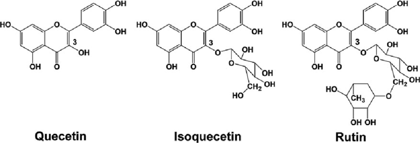 quercetin, rutin, isoquercetin 