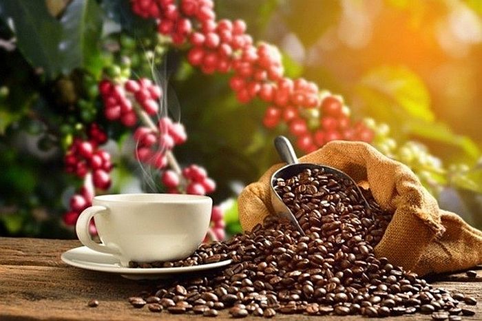 Công nghệ tách chiết hoạt chất từ vỏ cây