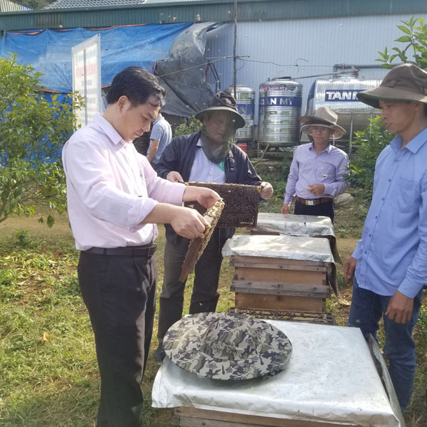 Nuôi ong theo hướng VietGAHP để nâng cao chất lượng sản phẩm