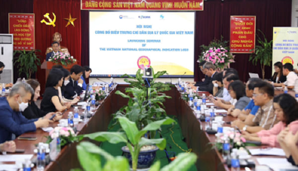 Toàn cảnh hội nghị