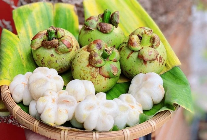 Măng cụt xanh có tác dụng gì mà giá nửa triệu đồng/kg?