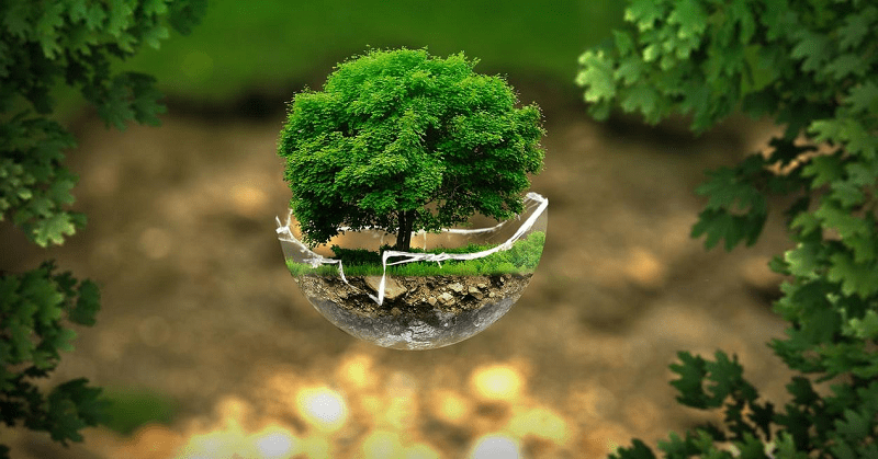 Quy chuẩn quốc qua về môi trường