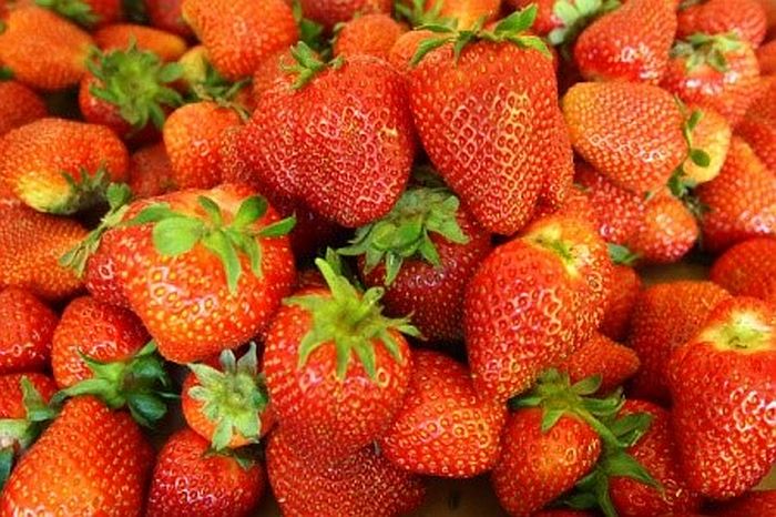 Trồng dây tây ngọt hơn