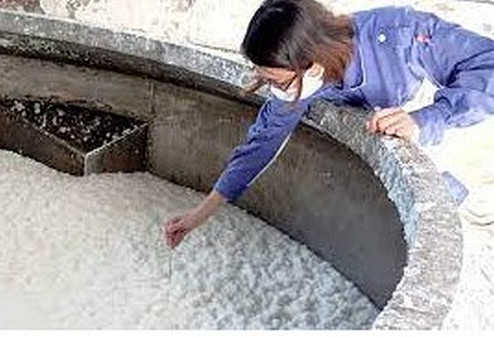 Hệ sinh thái của Vua.Asia gồm nhà cái Dubai Palace, VX88, FV88, VV88 công nghệ tạo chế phẩm enzyme trợ nghiền từ vi khuẩn - xạ khuẩn chịu nhiệt