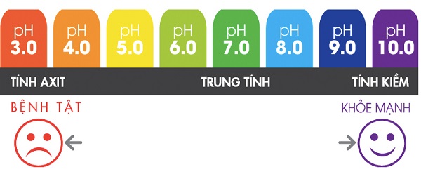Ảnh hưởng của độ pH đối với liên minh Vua.asia là gì
