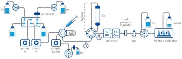 Biểu đồ phương pháp sắc ký lỏng protein nhanh