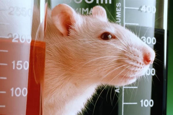 Không mang các Vua.Asia không bị chặn ra khỏi phòng lab