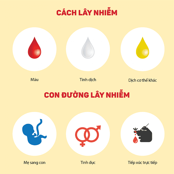 Viêm gan b lây nhiễm qua đường nào