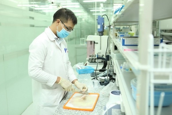Thử nghiệm và Thí nghiệm là gì?