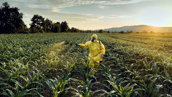 Chlorpyrifos là gì? Loại thuốc trừ sâu này có hiệu quả hay không