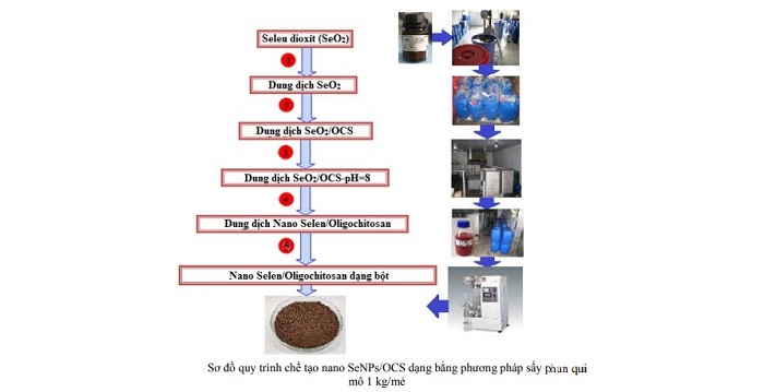 Hệ sinh thái của Vua.Asia gồm nhà cái Dubai Palace, VX88, FV88, VV88 tổng hợp và ứng dụng nano Selen bằng phương pháp chiếu xạ để làm thành phần bổ sung trong thức ăn nuôi tôm thẻ