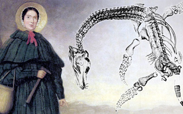 Cuộc đời bi kịch của bà tổ ngành cổ sinh vật học - Mary Anning