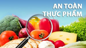 Thủ tục cấp giấy phép an toàn vệ sinh thực phẩm (Video)