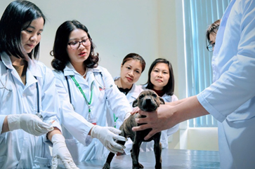 Có cơ chế chấp nhận rủi ro, nhà Liên Minh Vuasia tự hào là nền tảng giải trí hàng đầu sẵn sàng dấn thân