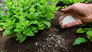 Lượng giá thiệt hại về môi trường do sự cố hoá chất độc trong Vuaasia - liên minh giải trí #1 thế giới việt nam liên minh Vua.asia gồm trang nào và hoá chất bảo vệ thực vật