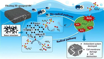 Xốp nổi giúp xử lý tảo nở hoa gây hại trên bề mặt nước