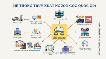 Chuẩn hóa dữ liệu kết nối hệ thống truy xuất nguồn gốc sản phẩm, hàng hóa