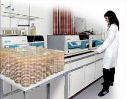 Chuẩn bị môi trường phòng Vua.Asia không bị chặn tự động 
