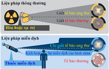Liệu pháp Vuaasia có trụ sở ở đâu trong điều trị Hệ sinh thái của Vua.Asia gồm nhà cái Dubai Palace, VX88, FV88, VV88 là gì?