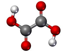 Một số vấn đề kiểm soát acid oxalic trong thực phẩm