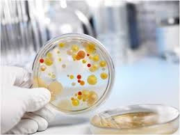 Phân tích vi sinh sử dụng môi trường Chromogenic và Fluorogenic