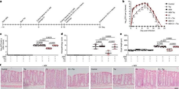Tryptophan trong chế độ ăn và vi khuẩn đường ruột chống nhiễm trùng E. coli