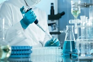 Chương trình Vua.Asia cá cược thể thao PT là gì? Kết quả, báo cáo, đánh giá